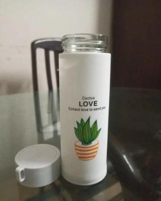 500ml Insulated Water Bottle Cactus Design ABS Plastic